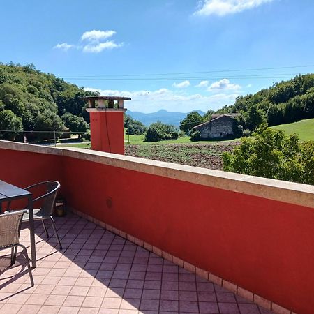 La Torretta - Incantevole Appartamento Nei Colli Berici Nanto Eksteriør bilde
