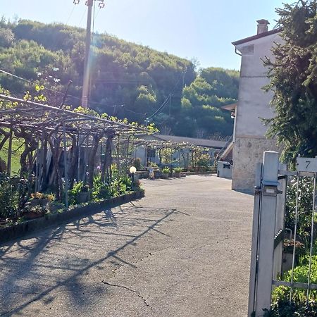 La Torretta - Incantevole Appartamento Nei Colli Berici Nanto Eksteriør bilde