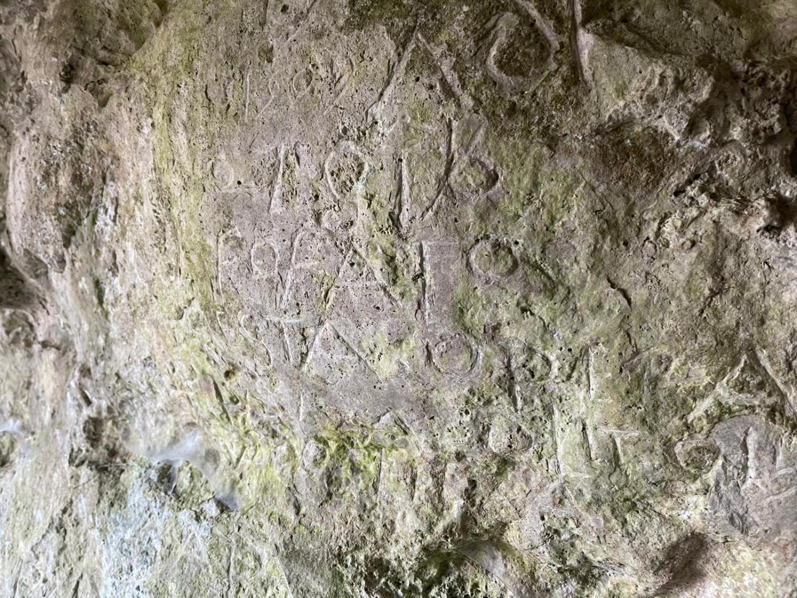 La Torretta - Incantevole Appartamento Nei Colli Berici Nanto Eksteriør bilde