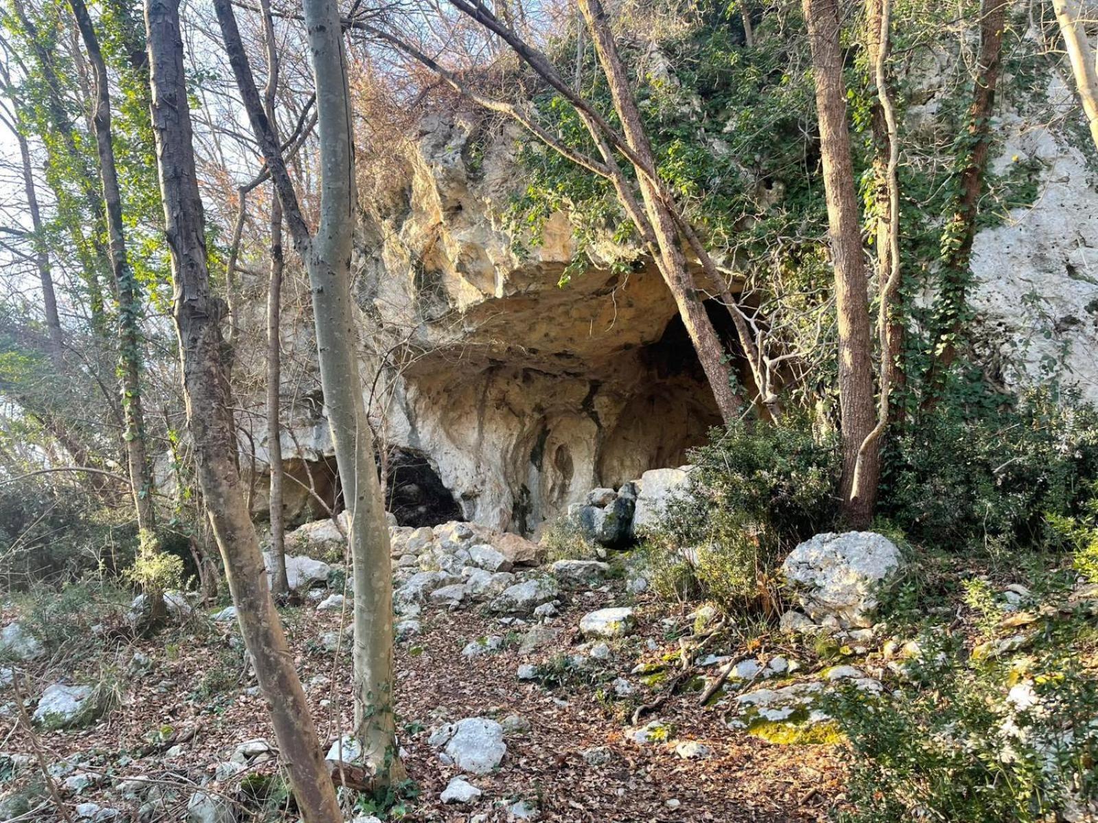 La Torretta - Incantevole Appartamento Nei Colli Berici Nanto Eksteriør bilde